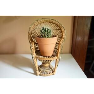 Tiny rattan peacock chair | Doll seat or plant stand